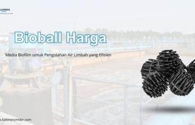 Bioball Harga
